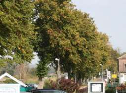 Dorfstraße an der Ferienwohnung